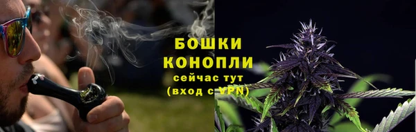 гидра Майский