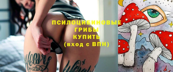 гидра Майский