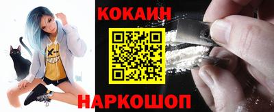 прущие крисы Гатчина