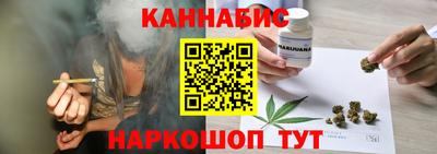 прущие крисы Гатчина