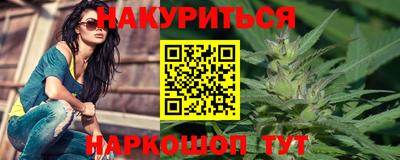 шишки Гай